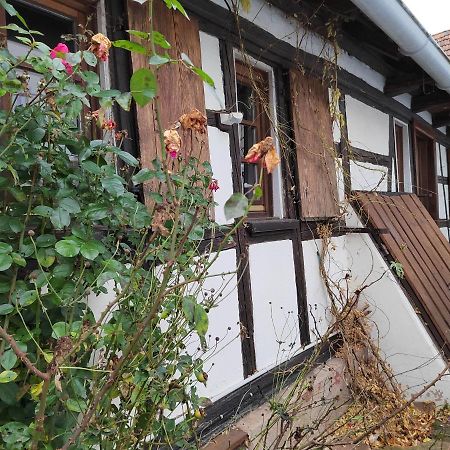 Petite Maison Alsacienne Entzheim Esterno foto
