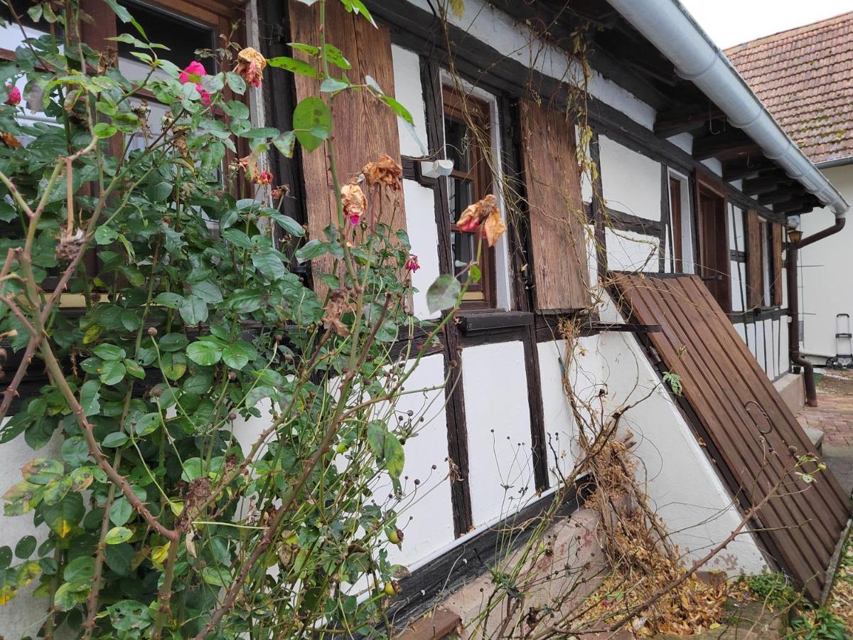 Petite Maison Alsacienne Entzheim Esterno foto